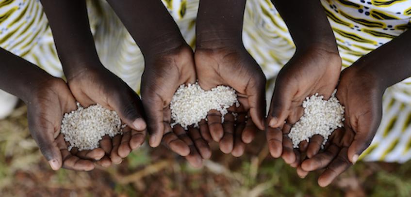 Prioritizing nutrition for the development and prosperity of Africa
